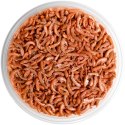 Terrario Repti Bites Gammarus 250ml - kiełż zdrojowy suszony Terrario