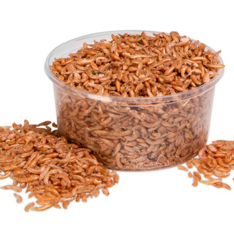 Terrario Repti Bites Gammarus 250ml - kiełż zdrojowy suszony Terrario