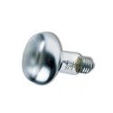 Zoomed Repti Basking Spot Lamp 40W - żarówka grzewcza punktowa 2 sztuki Zoomed