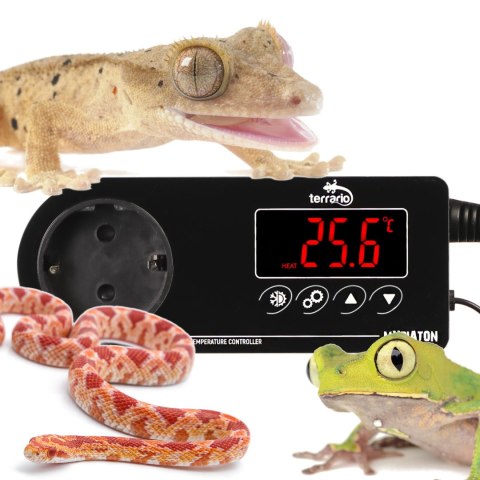 Terrario Myriaton Temperature Controller - termostat elektroniczny Terrario