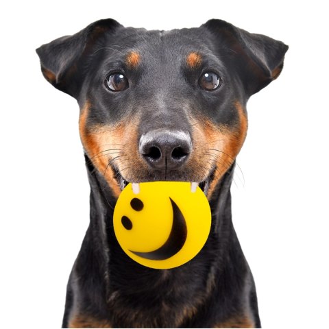 HappyPet Smiley Ball - uśmiechnięta piłeczka Happypet