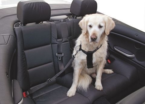 KERBL Pas Bezpieczeństwa S Dla Psa 30-60cm Kerbl