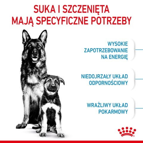 ROYAL CANIN Maxi Starter Mother & Babydog 15kg Royal Canin