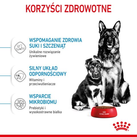 ROYAL CANIN Maxi Starter Mother & Babydog 15kg Royal Canin