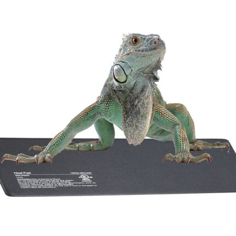 Terrario Repti-Pad PVC 20W - wodoodporna mata grzewcza Terrario