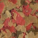 Tetra Goldfish Flakes 100ml - pokarm płatki dla złotej rybki Tetra