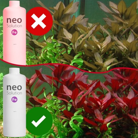 Neo Solution Fe 300ml - żelazo w płynie NEO MEDIA