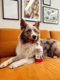 Arthrohard® Preparat Wspomagający Prawidłowy Rozwój I Funkcjonowanie Stawów U Psów I Kotów - Kolagen, Glukozamina, Chondroityna, LAB-V