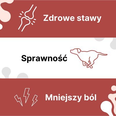 Arthrohard® Preparat Wspomagający Prawidłowy Rozwój I Funkcjonowanie Stawów U Psów I Kotów - Kolagen, Glukozamina, Chondroityna, LAB-V