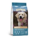 Divinus Adult Karma Sucha Dla Psów Dorosłych 20kg Divinus