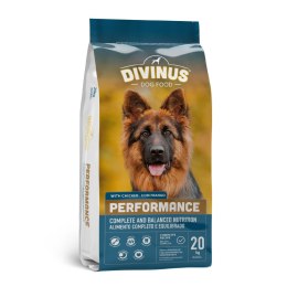 Divinus Performance Karma Sucha Dla Psów Owczarek Niemiecki 20kg Divinus