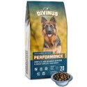Divinus Performance Karma Sucha Dla Psów Owczarek Niemiecki 20kg Divinus