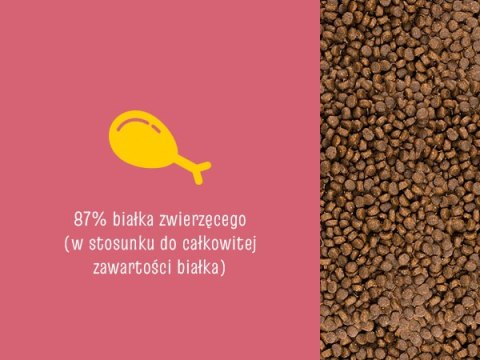 Josera Josicat Kitten Karma Sucha Dla Kociąt 10kg JosiCat