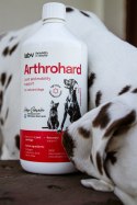LAB-V Arthrohard Preparat Na Wsparcie Stawów Dla Psa I Kota 1000 Ml LAB-V