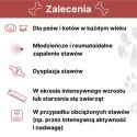 LAB-V Arthrohard Preparat Na Wsparcie Stawów Dla Psa I Kota 1000 Ml LAB-V