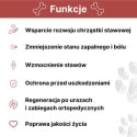 LAB-V Arthrohard Preparat Na Wsparcie Stawów Dla Psa I Kota 1000 Ml LAB-V