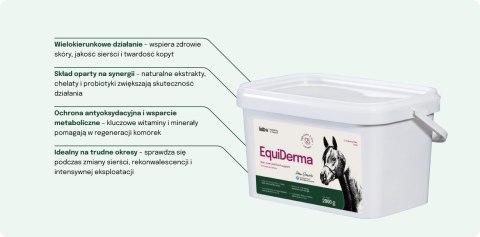 Lab-v EquiDerma Mieszanka paszowa uzupełniająca dla koni i kucyków wspierająca kondycję skóry, sierści i kopyt 2000g LAB-V