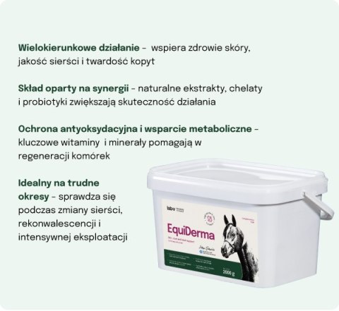 Lab-v EquiDerma Mieszanka paszowa uzupełniająca dla koni i kucyków wspierająca kondycję skóry, sierści i kopyt 2000g LAB-V