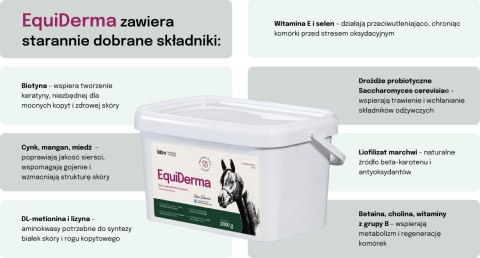 Lab-v EquiDerma Mieszanka paszowa uzupełniająca dla koni i kucyków wspierająca kondycję skóry, sierści i kopyt 2000g LAB-V