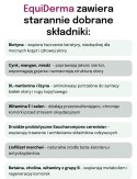 Lab-v EquiDerma Mieszanka paszowa uzupełniająca dla koni i kucyków wspierająca kondycję skóry, sierści i kopyt 2000g LAB-V