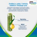 Purina Dentalife Activefresh Medium Przysmak Dla Psa 115g 5 Sztuk Purina