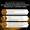 Purina Pro Plan Veterinary Diets NF Renal Function Karma Dla Kota 1,5kg PRO PLAN Veterinary Diets