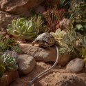 Terrario Premium Repti Cable 80W - wodoodporny kabel grzewczy do terrarium 10,5m Terrario
