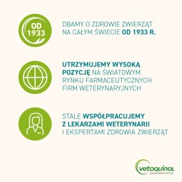VETOQUINOL Flexadin Cat 60 kąsków Vetoquinol
