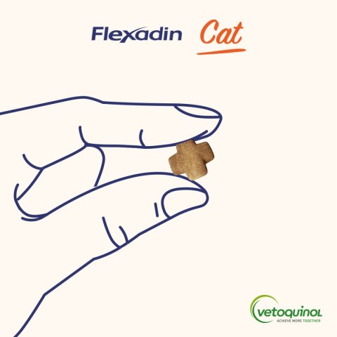 VETOQUINOL Flexadin Cat 60 kąsków Vetoquinol