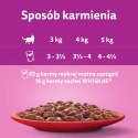 Whiskas Adult Karma Mokra Dla Kotów Wołowina Kurczak Jagnięcina Drób 12x85g Whiskas