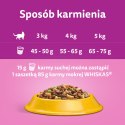 Whiskas Adult Karma Sucha Dla Kotów Kurczak 1,4kg Whiskas