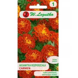 Aksamitka rozpierzchła Carmen mahoniowo-czerwona 1.50g W.Legutko
