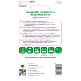 Aksamitka rozpierzchła - mieszanka kolorów W.Legutko