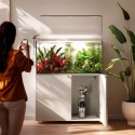 Aquario Exclusive 2.0 - zestaw CO2 z elektrozaworem i komputerem pH + butla 2l Aquario