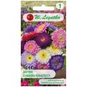 Aster chiński książęcy (Callistephus chinensis) - mieszanka W.Legutko