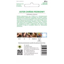 Aster chiński peoniowy - mieszanka kolorów W.Legutko