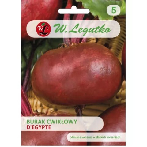 Burak ćwikłowy D'Egypte - płaski W.Legutko