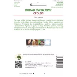Burak ćwikłowy 'Opolski' - korzeń cylindryczny W.Legutko