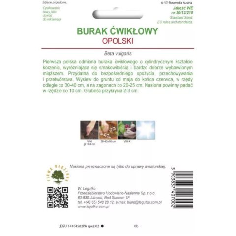 Burak ćwikłowy 'Opolski' - korzeń cylindryczny W.Legutko