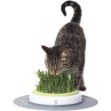 CATIT Zestaw- ogród z trawą Catit