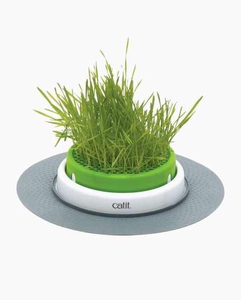 CATIT Zestaw- ogród z trawą Catit