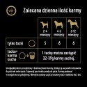 CESAR tacka 150 g - pełnoporcjowa mokra karma dla psa z indykiem i wołowiną w aromatycznym sosie. Cesar