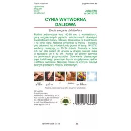 Cynia wytworna daliowa 'Illumination' - kwiaty różow W.Legutko