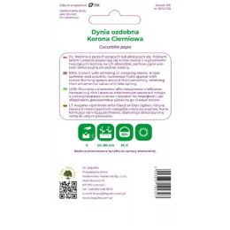 Dynia ozdobna 'Korona Cierniowa' - mieszanka kolorów W.Legutko