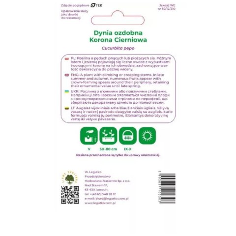 Dynia ozdobna 'Korona Cierniowa' - mieszanka kolorów W.Legutko