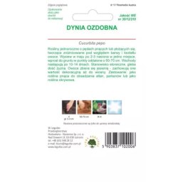 Dynia ozdobna, mieszanka odmian W.Legutko