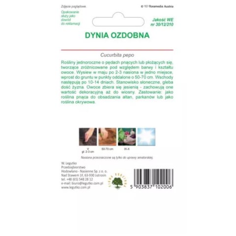 Dynia ozdobna, mieszanka odmian W.Legutko