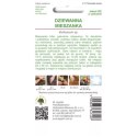 Dziewanna - mieszanka gatunków wieloletnich W.Legutko