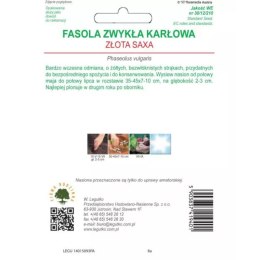 Fasola szparagowa karłowa 'Złota Saxa' - żółtostrąkowa, wczesna W.Legutko