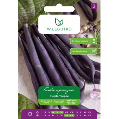 Fasola zwykła szparagowa karłowa fioletowostrąkowa Purple Teepee W.Legutko